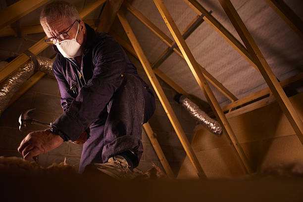 Best Insulation Installation Services in Hicksville, NY